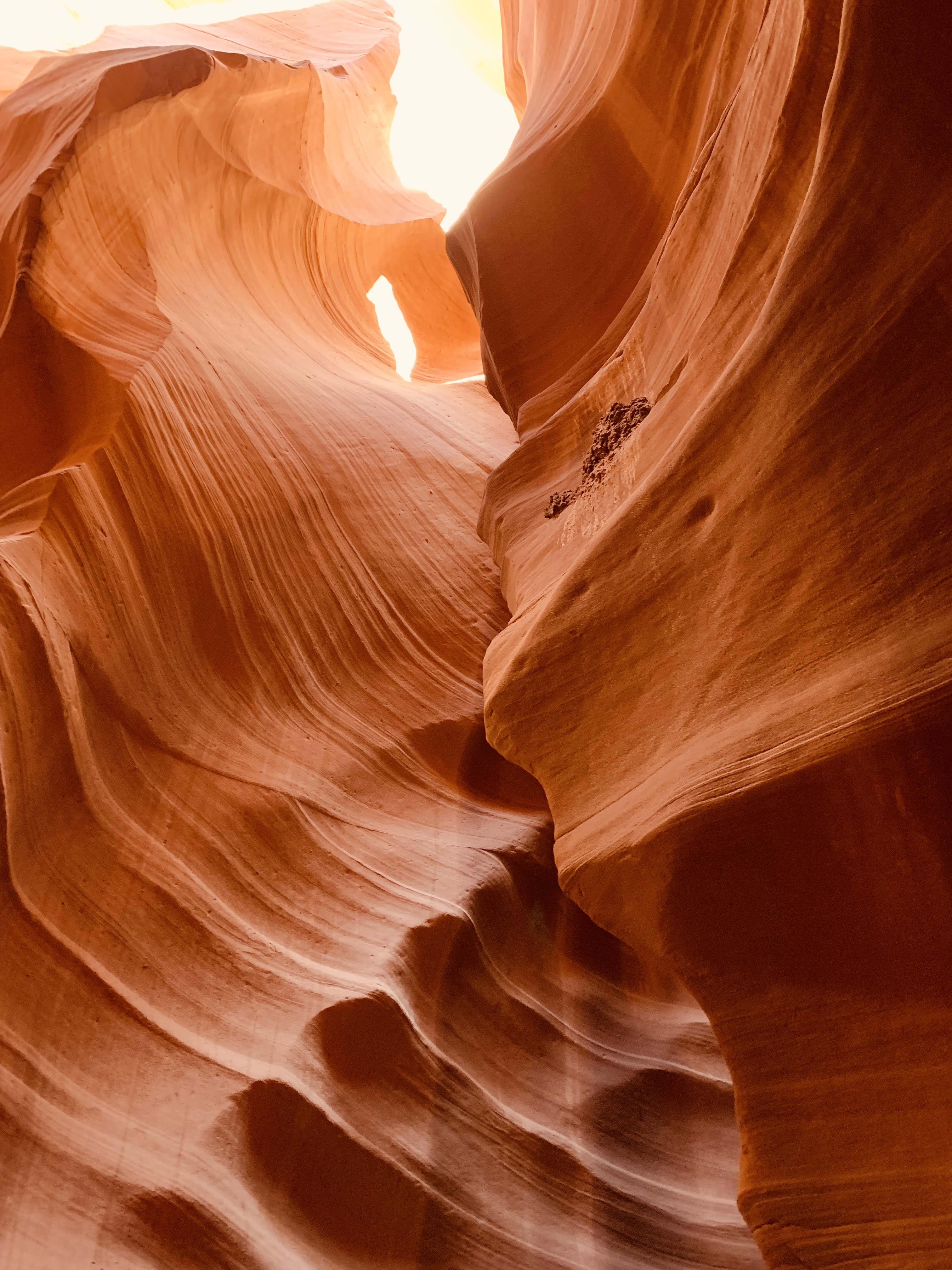 Planning Your Antelope Canyon And Lake Powell Trip Navajo Tours Blog